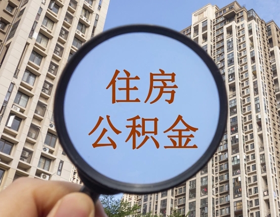 日土退休后查不到公积金明细了吗（退休后公积金查询不到原因）